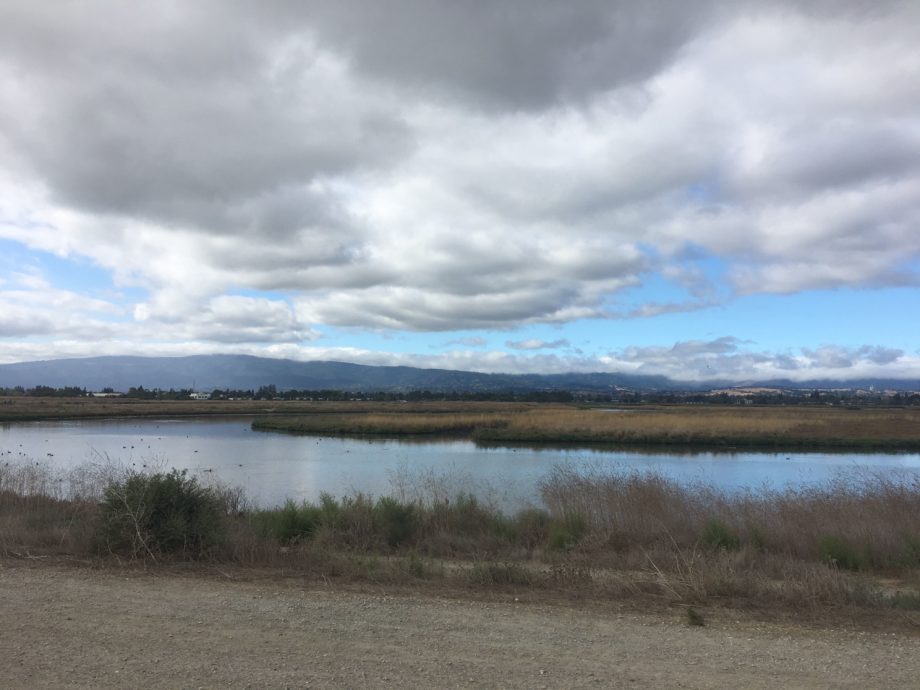photos of the south bay from the bay trail on a bike ride