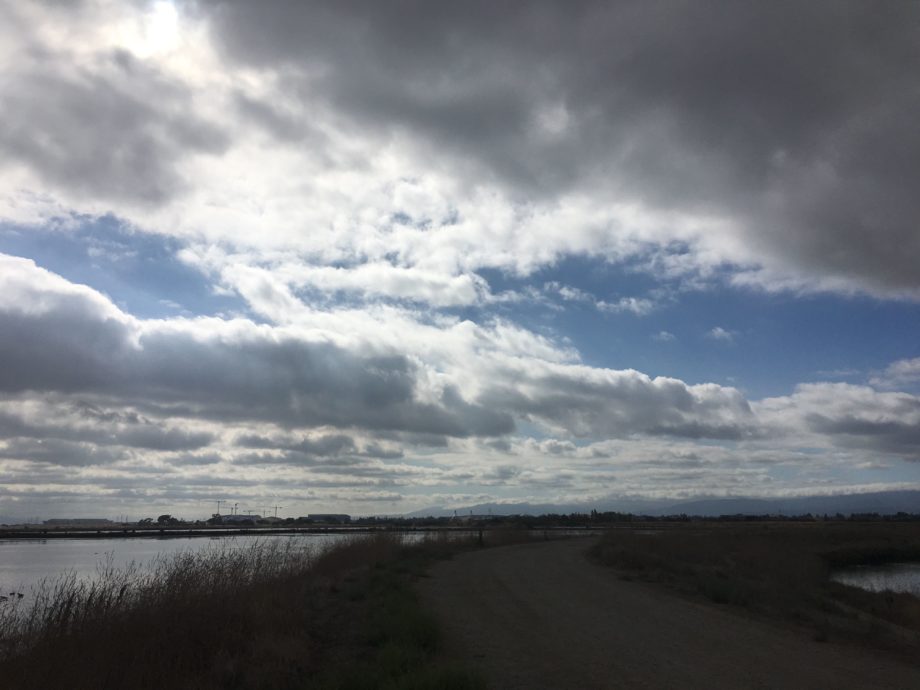 photos of the south bay from the bay trail on a bike ride