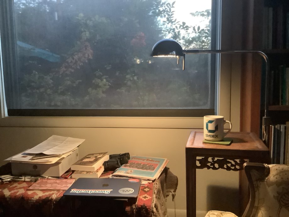 A coffee cup and lit lamp in from of a shaded window showing morning light.
